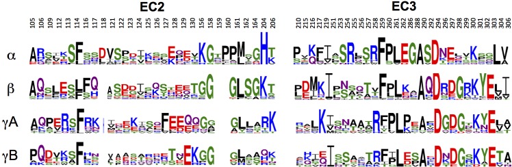 Figure 2—figure supplement 1.