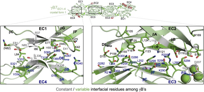 Figure 3—figure supplement 2.