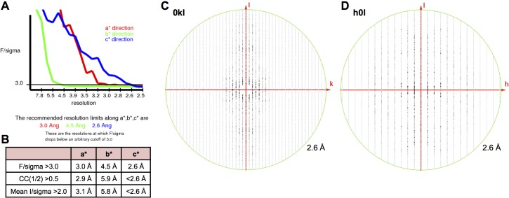 Figure 5—figure supplement 1.