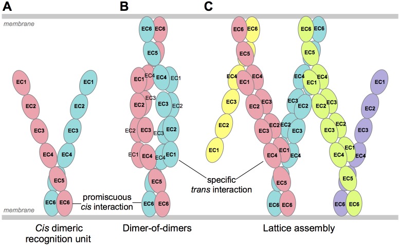 Figure 7.