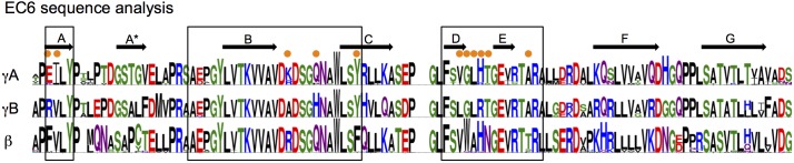 Figure 6—figure supplement 2.