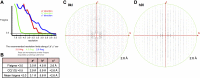 Figure 5—figure supplement 1.