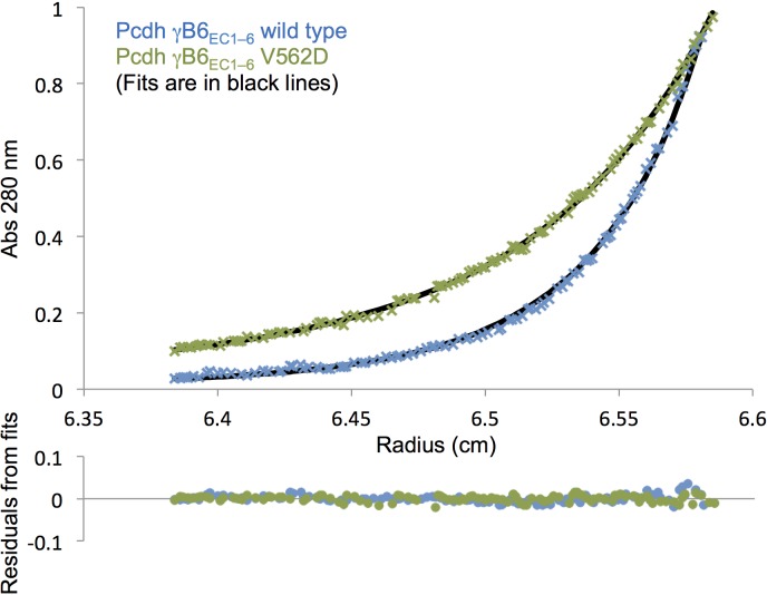 Figure 6—figure supplement 1.