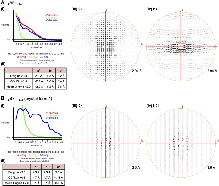 Figure 1—figure supplement 2.