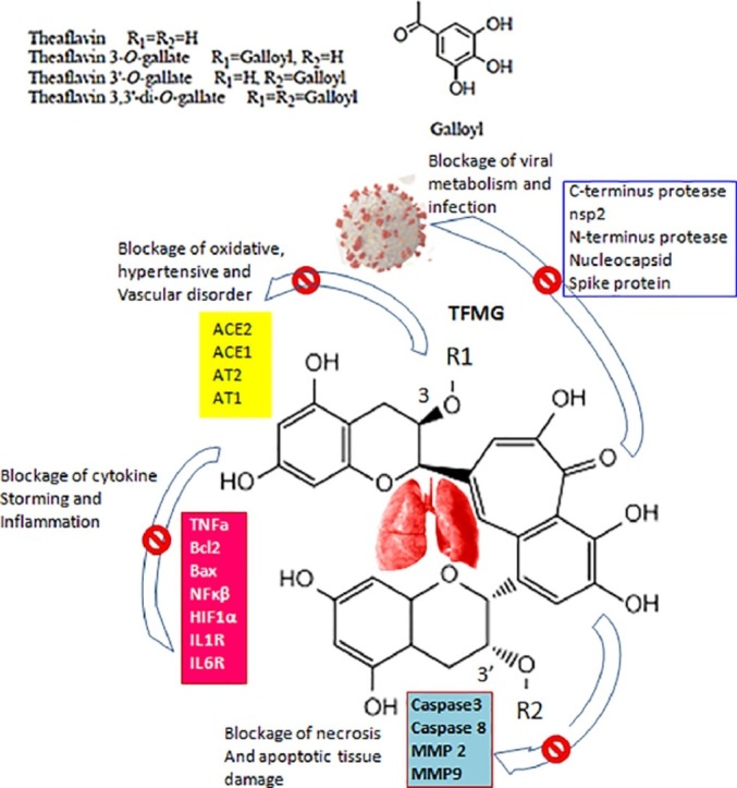 Image, graphical abstract