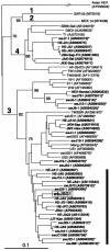 FIG. 2.