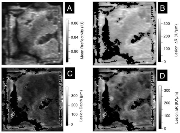 Figure 6