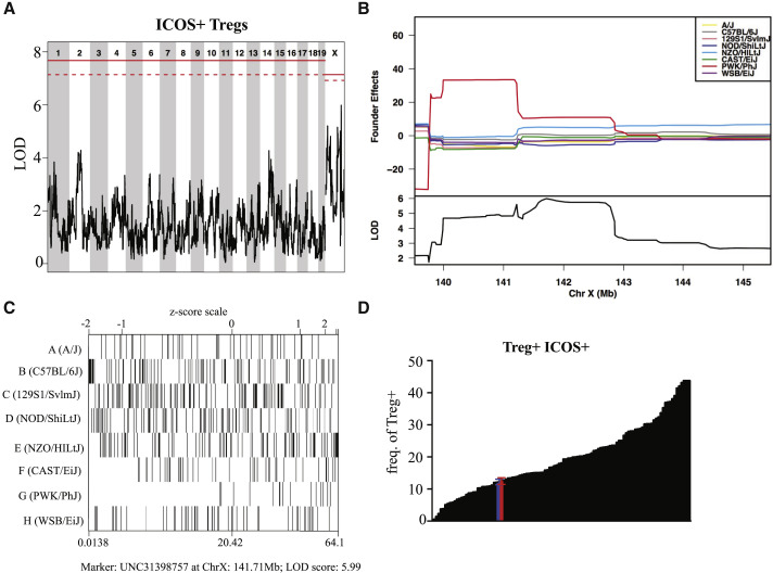 Figure 6