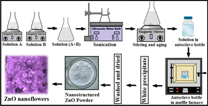 Fig. 1