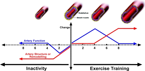 Fig. 2