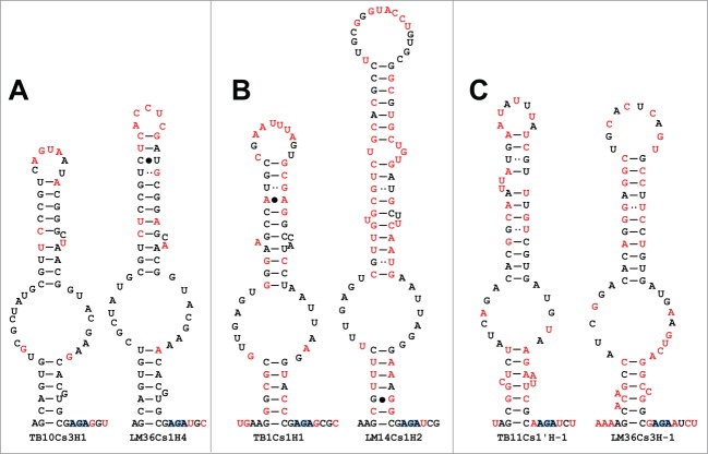 Figure 9.