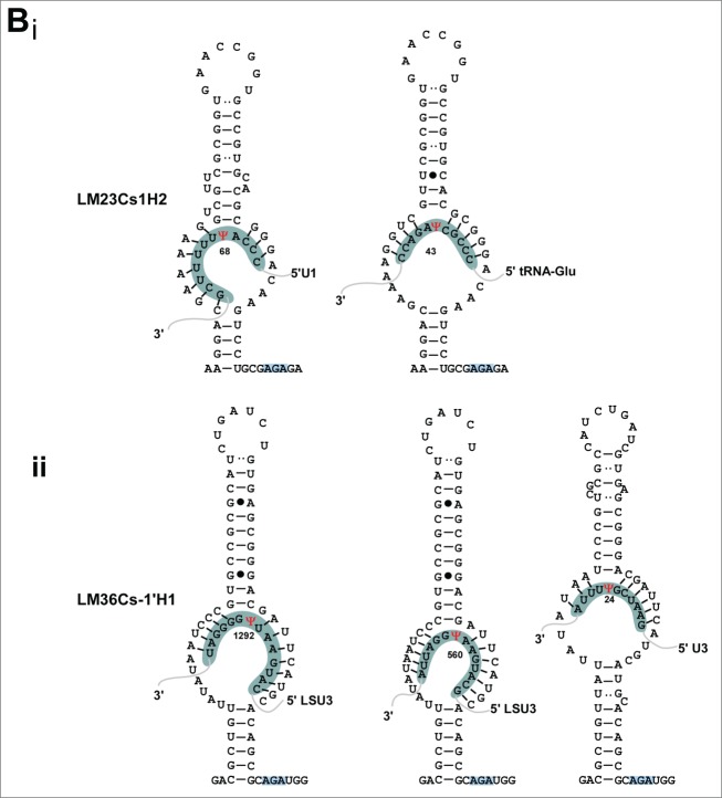 Figure 5.