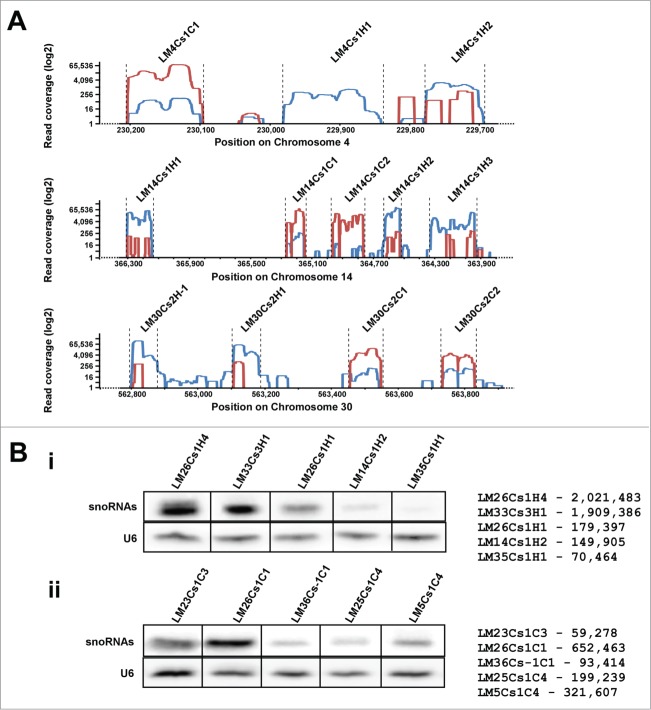 Figure 3.