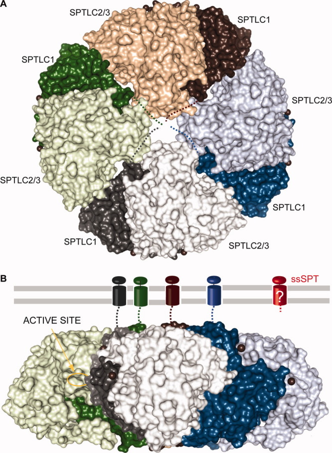 Figure 10