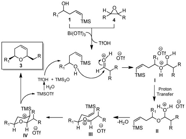 Scheme 4