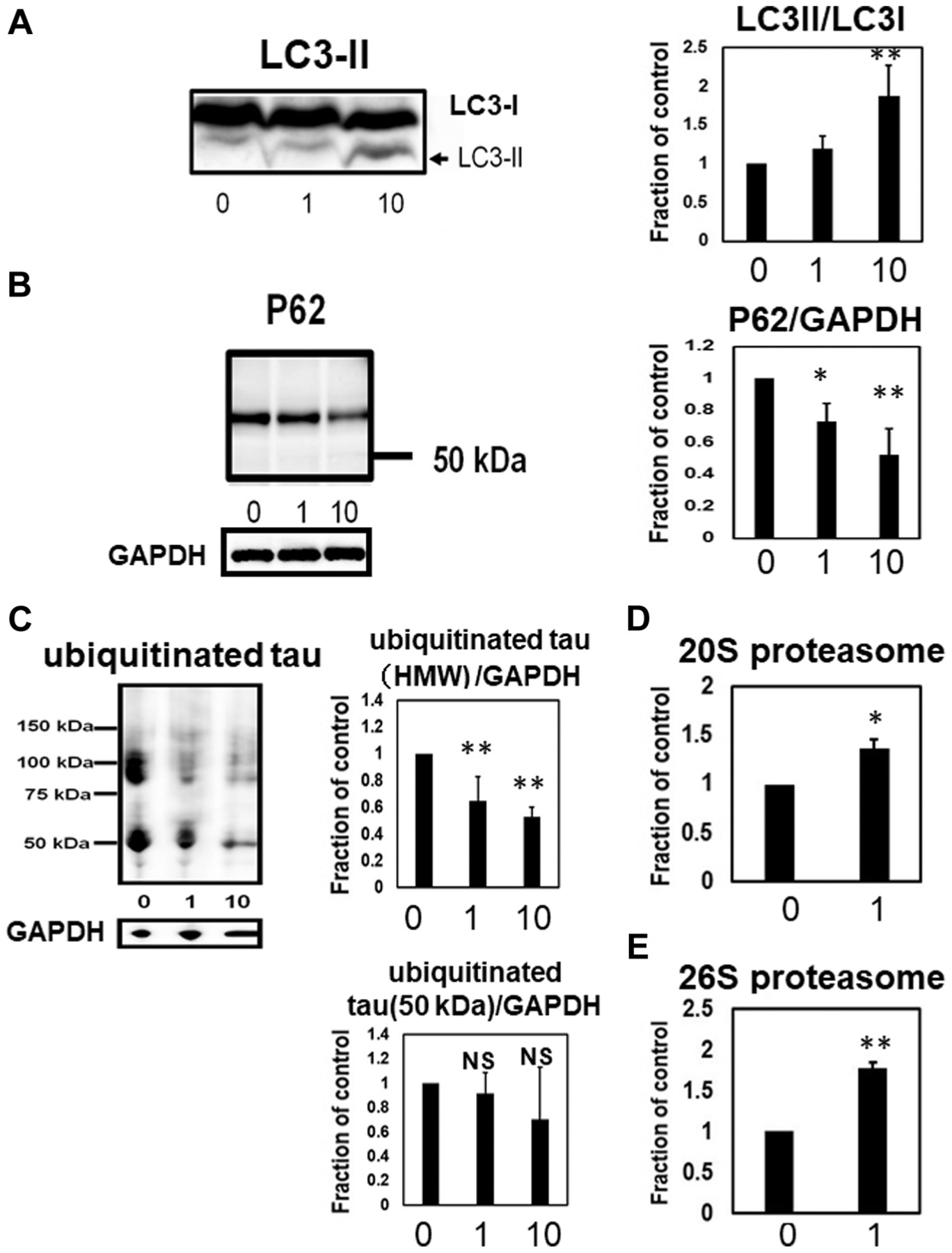 Fig. 8.