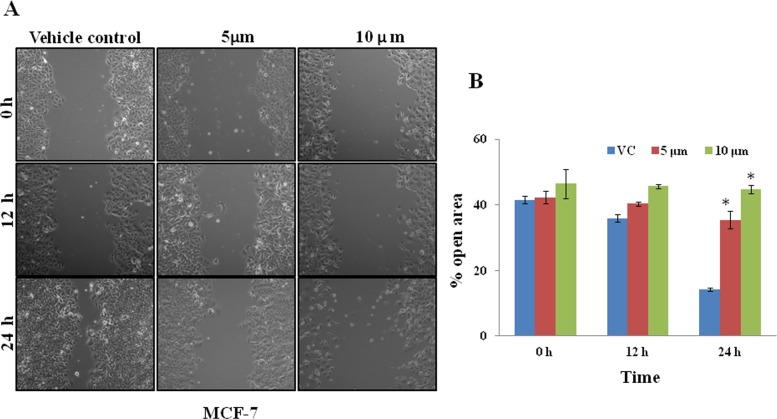 Fig 10