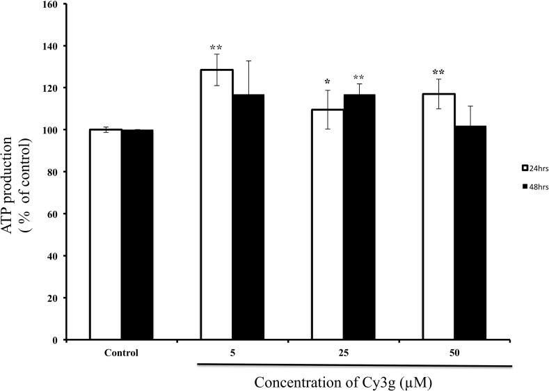 Fig. 2