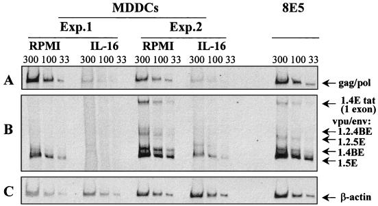 FIG. 1