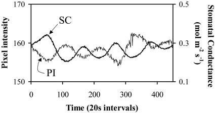 Fig. 4.