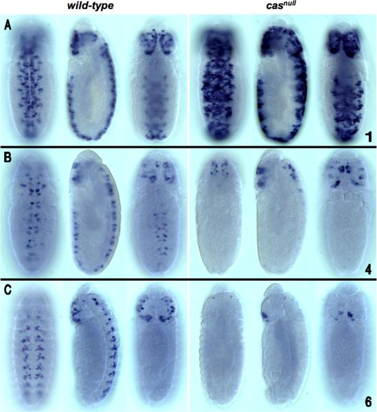 Fig. 5