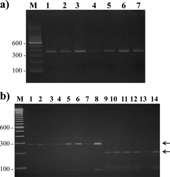 FIG 1