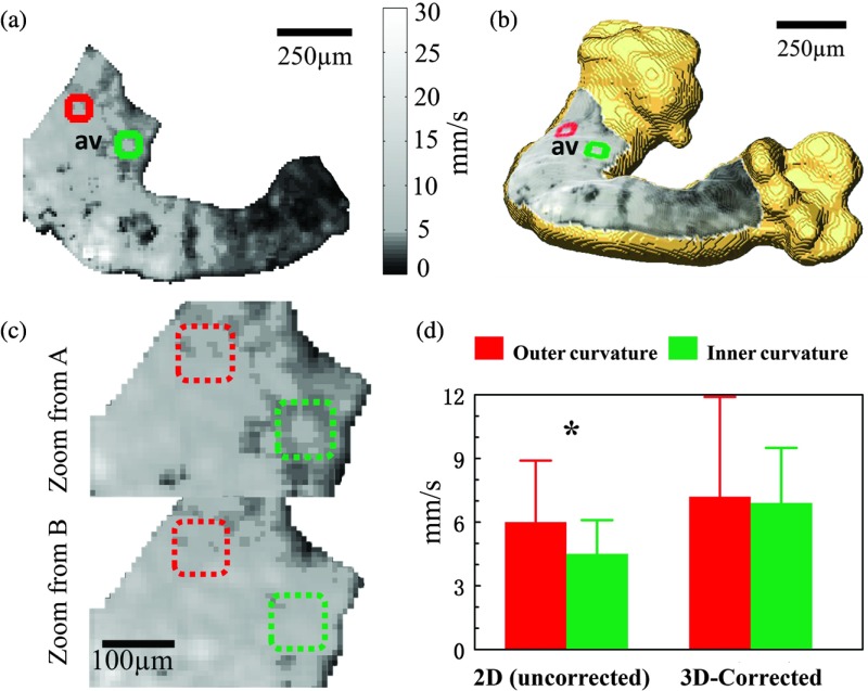 Fig. 7