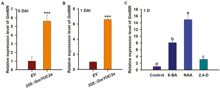 Fig. 6.