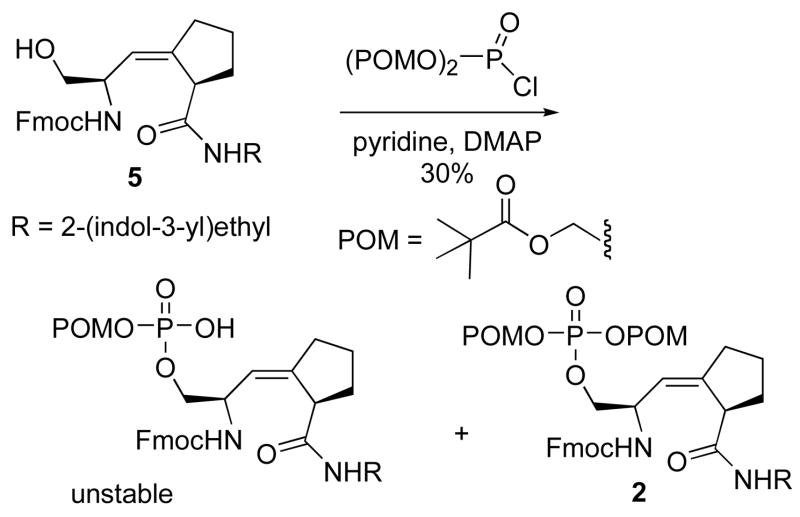 Scheme 3