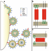 Fig. 1