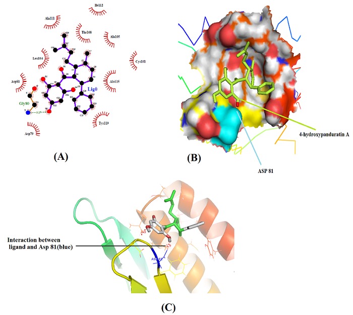 Figure 4