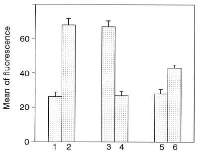 FIG. 1