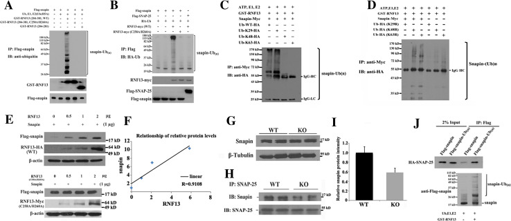 Fig. 7
