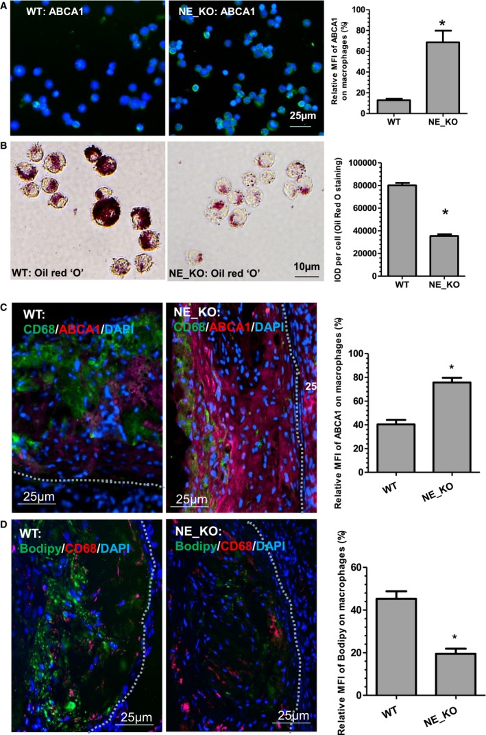 Figure 14