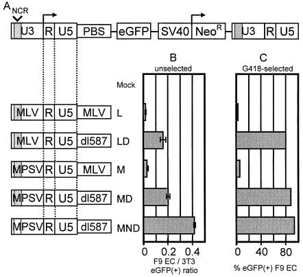 FIG. 1.