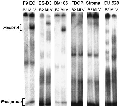 FIG. 7.