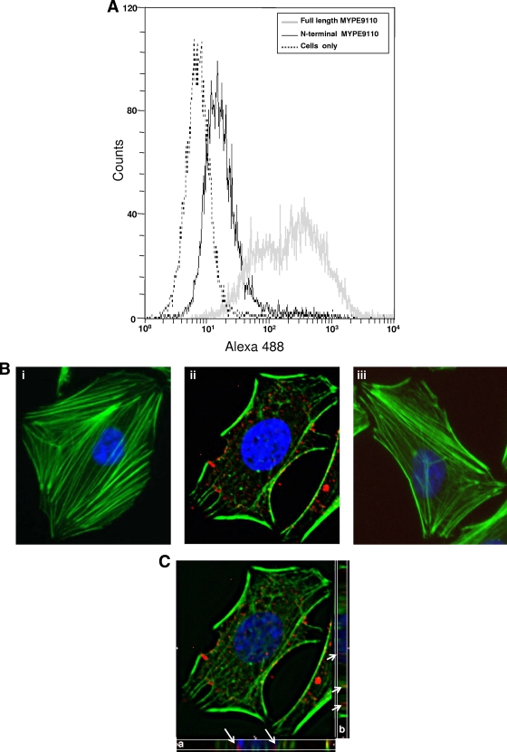 FIG. 6.