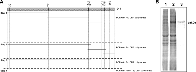 FIG. 3.