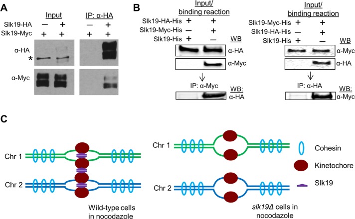 FIGURE 6: