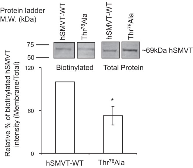 Fig. 8.