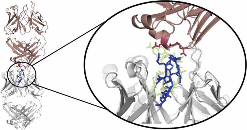 Figure 13.