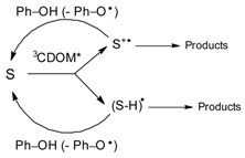 graphic file with name molecules-25-00009-i001.jpg