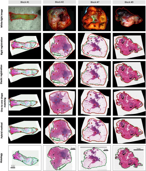 Fig. 7