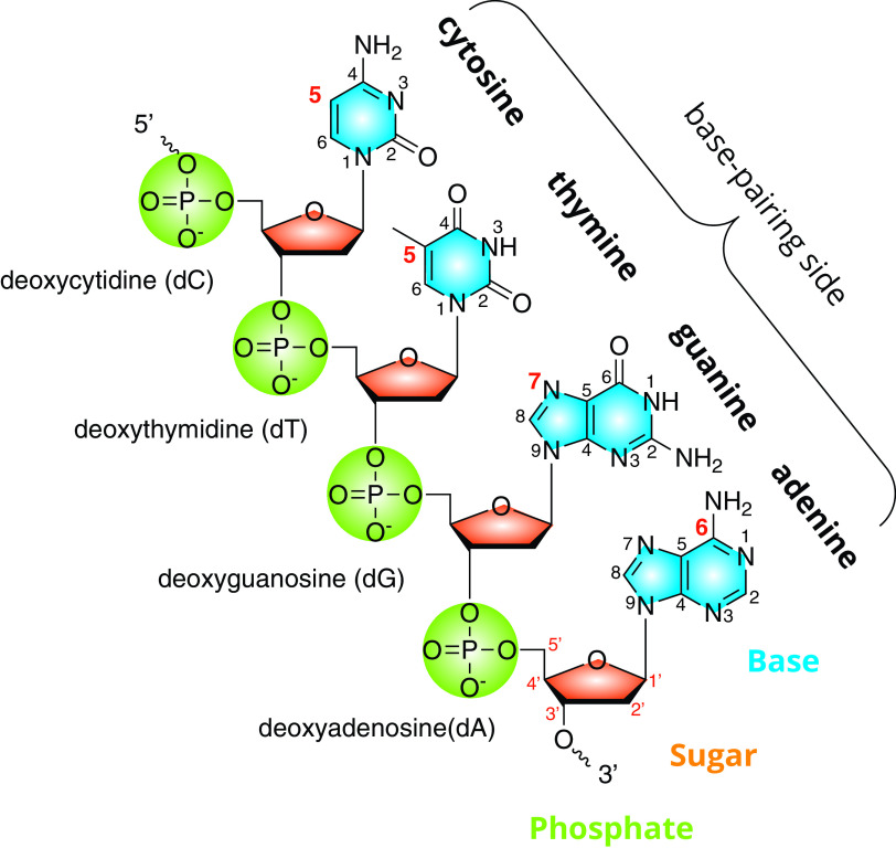 FIG 1