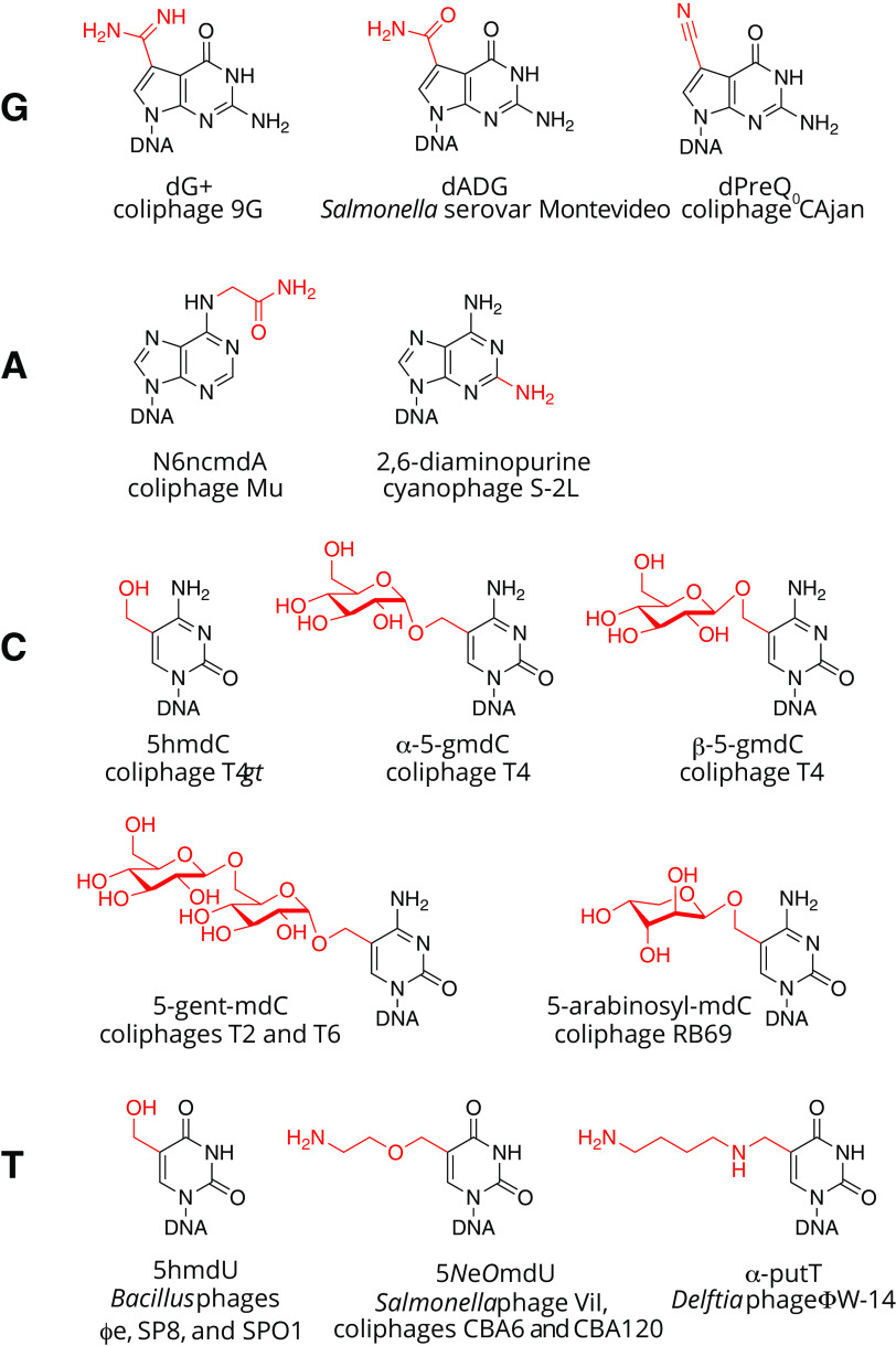 FIG 2