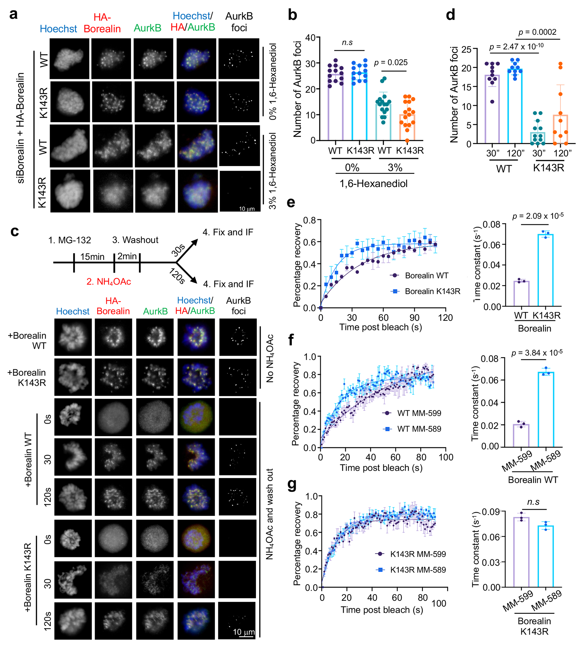 Fig. 4 |