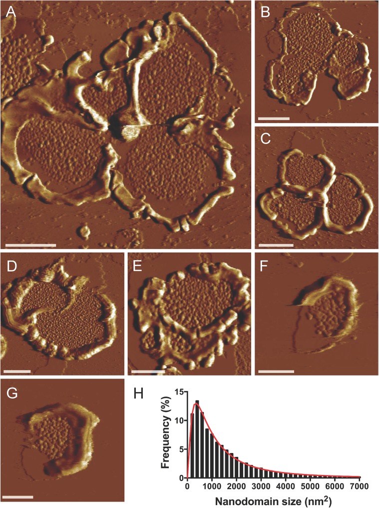 Fig 4