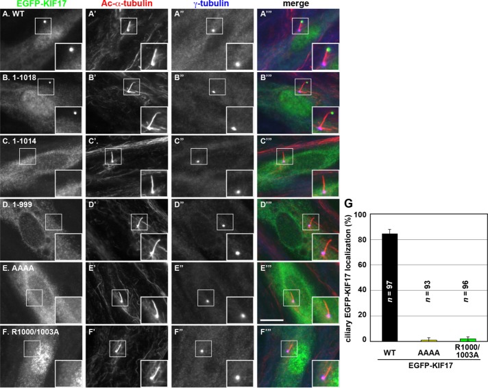 FIGURE 3: