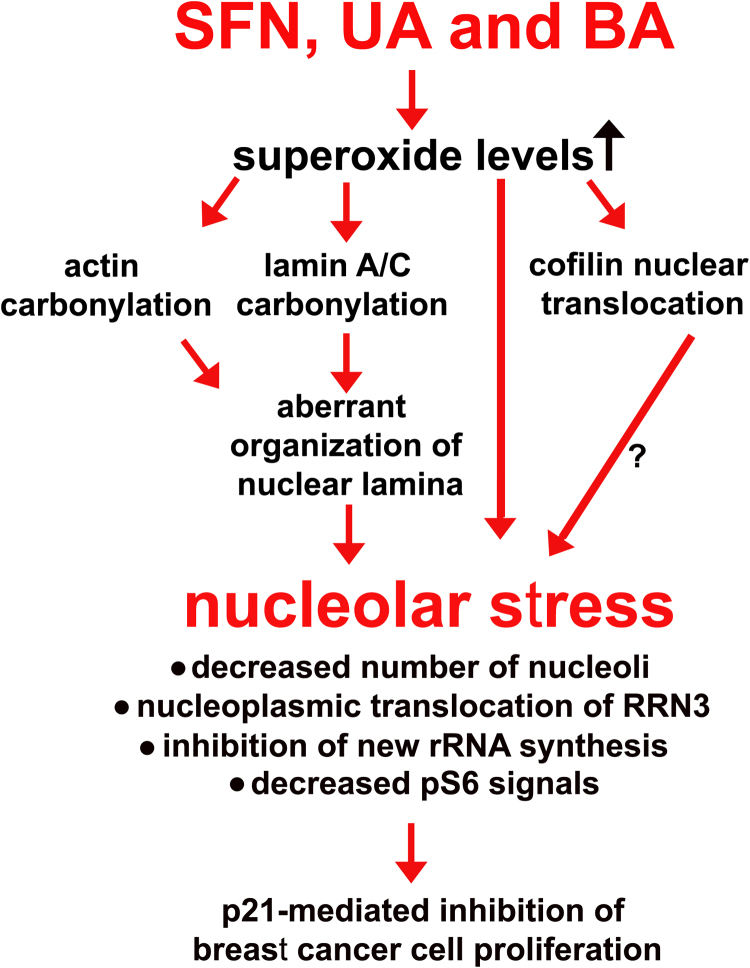 Fig. 9.