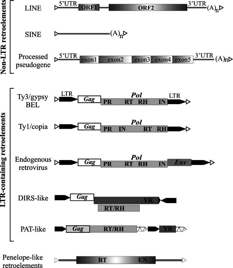 Fig. 1